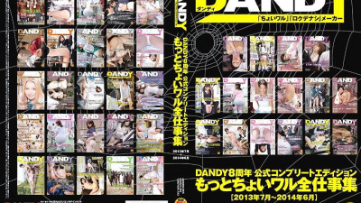 DANDY-395 DANDY 8th Anniversary Official Complete Edition More Little Wal All Work Collection